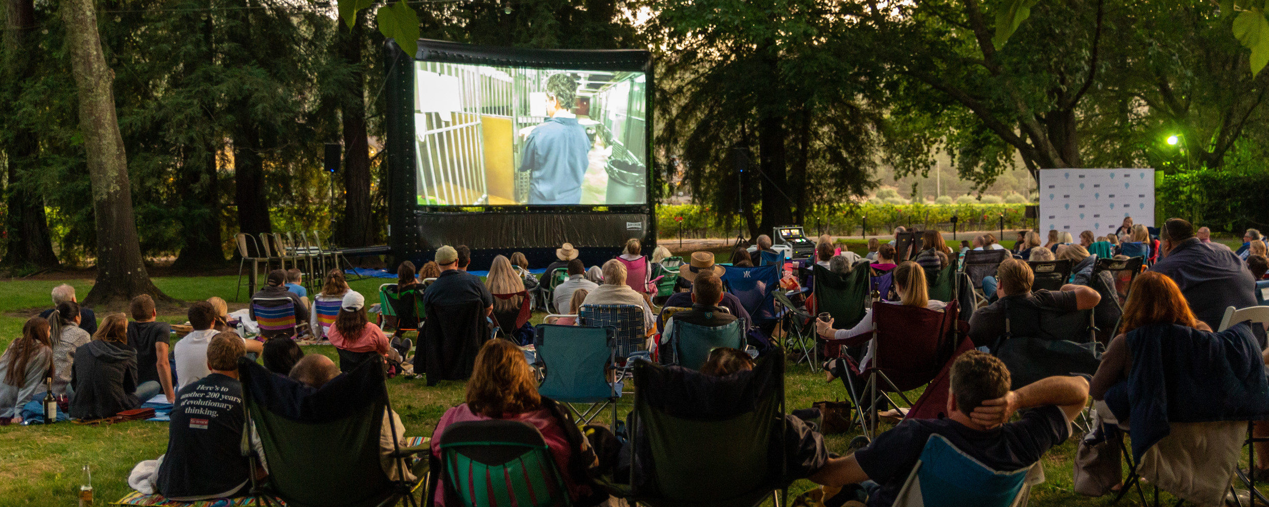Maine-outdoor-movie-party