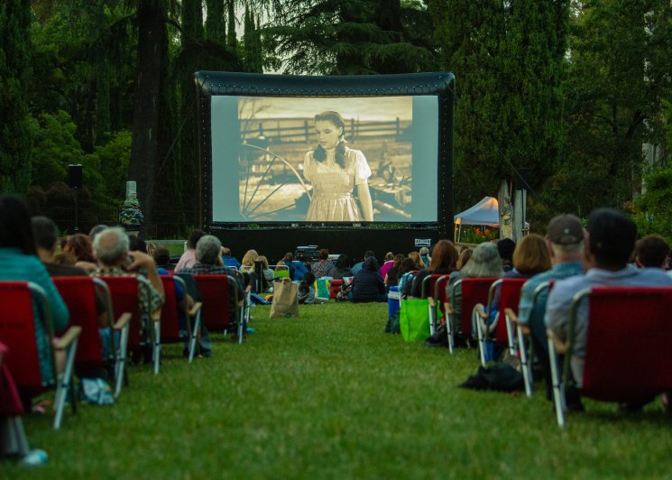 Outdoor movie screening of the Wizard of Oz