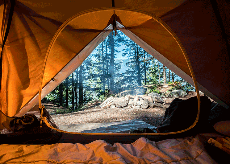 Tent opened to a view of the forest
