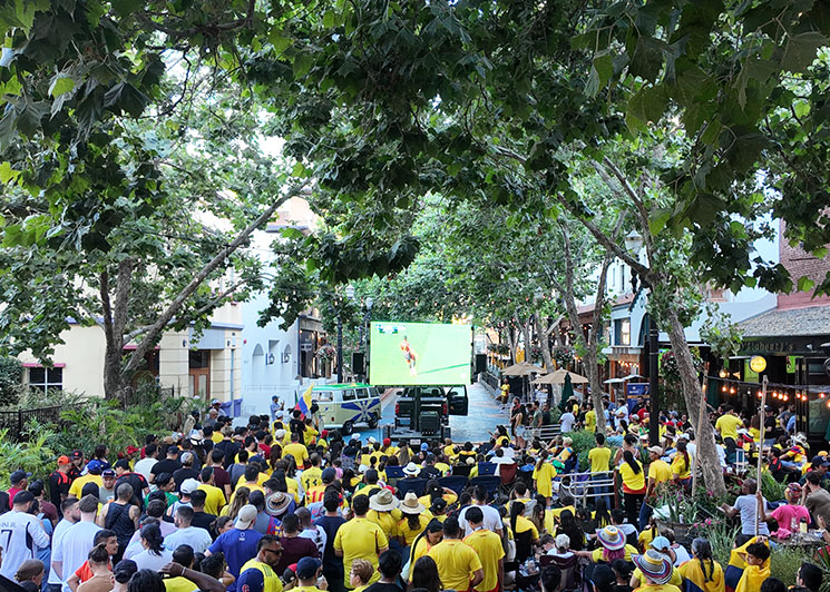 led-screen-for-a-world-cup-watch-party